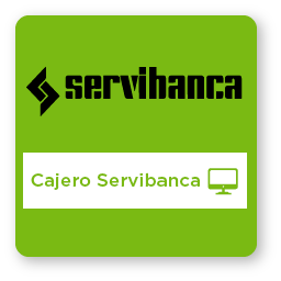 Logo de visa