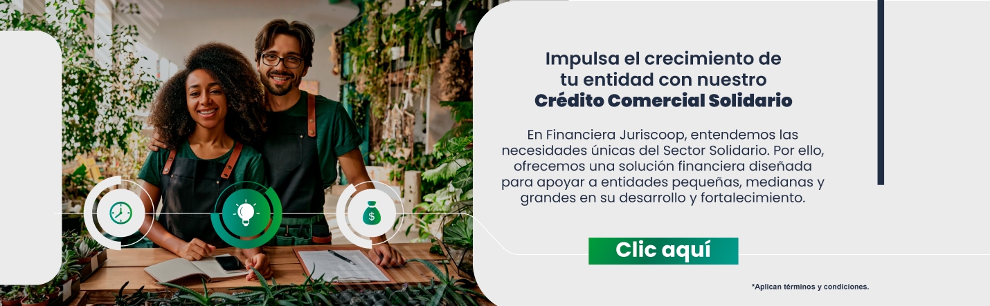 Sector Solidario